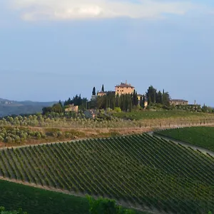 Damario Panorama Gasthuis